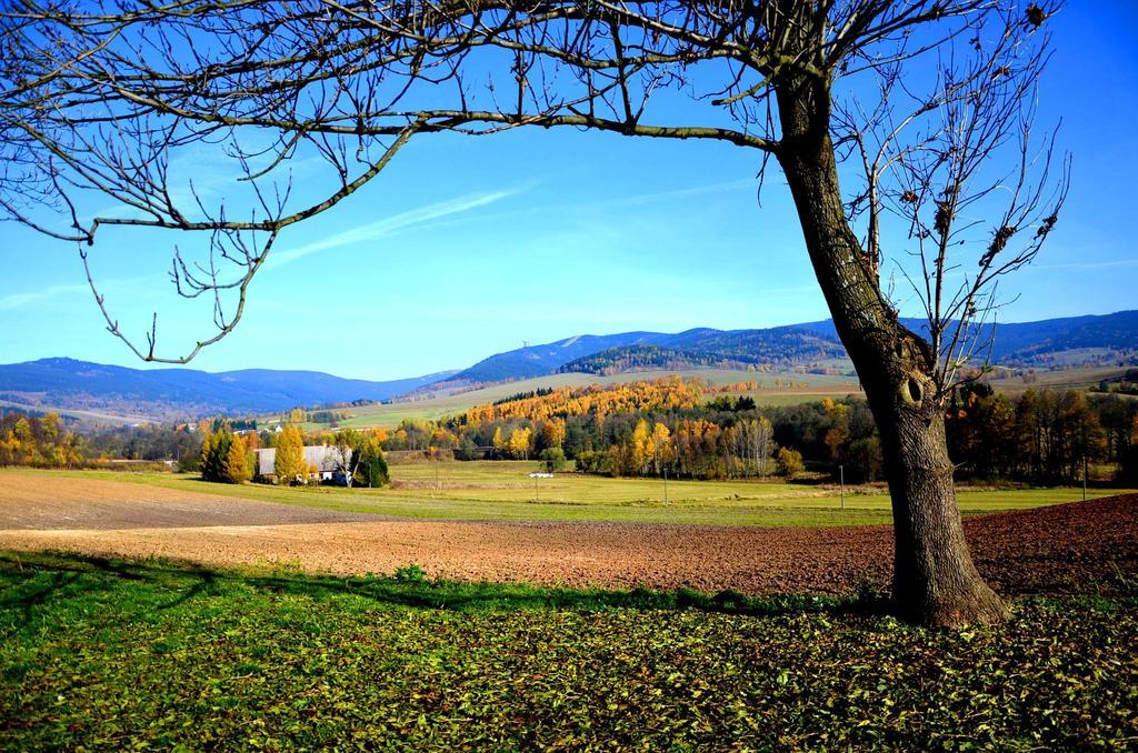 Penzion Na Červeném Potoce Králíky Exterior foto